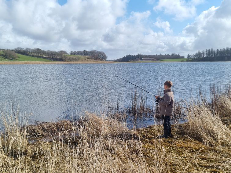 Forår i børnehøjde