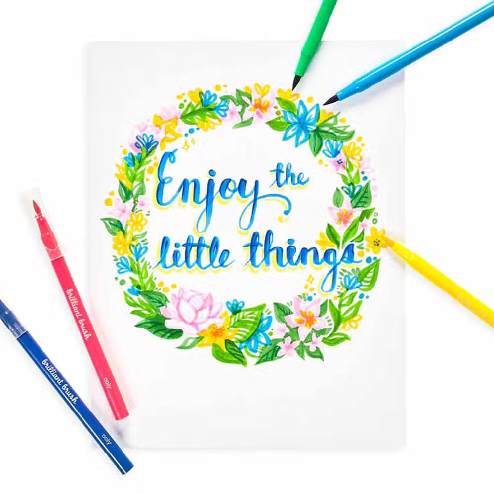 Ooly Tusser Brilliant Brush 24 Pak