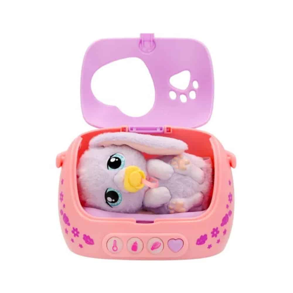 Baby Paws Just Born Kanin