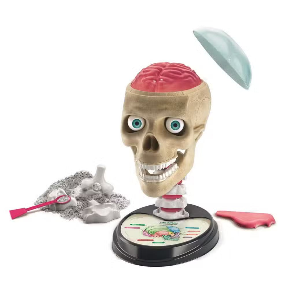Clementoni Kreasæt Crazy Anatomi