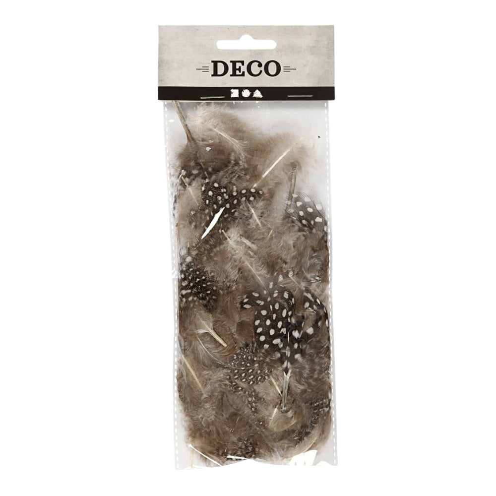 Creative Perlehønsfjer Brun