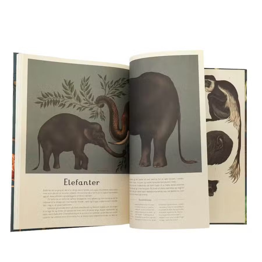 Forlaget Mammut Animalium