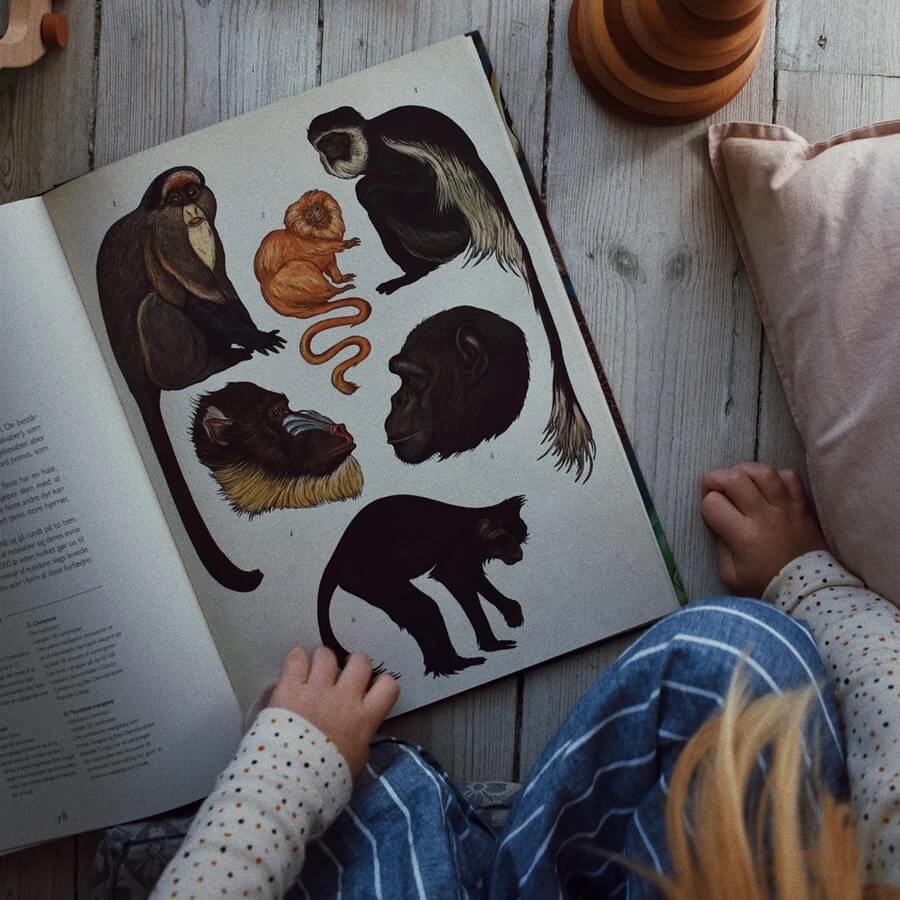 Forlaget Mammut Animalium