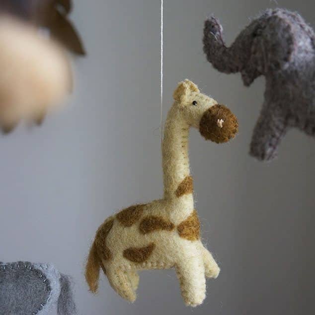 Gamcha Uro Safaridyr