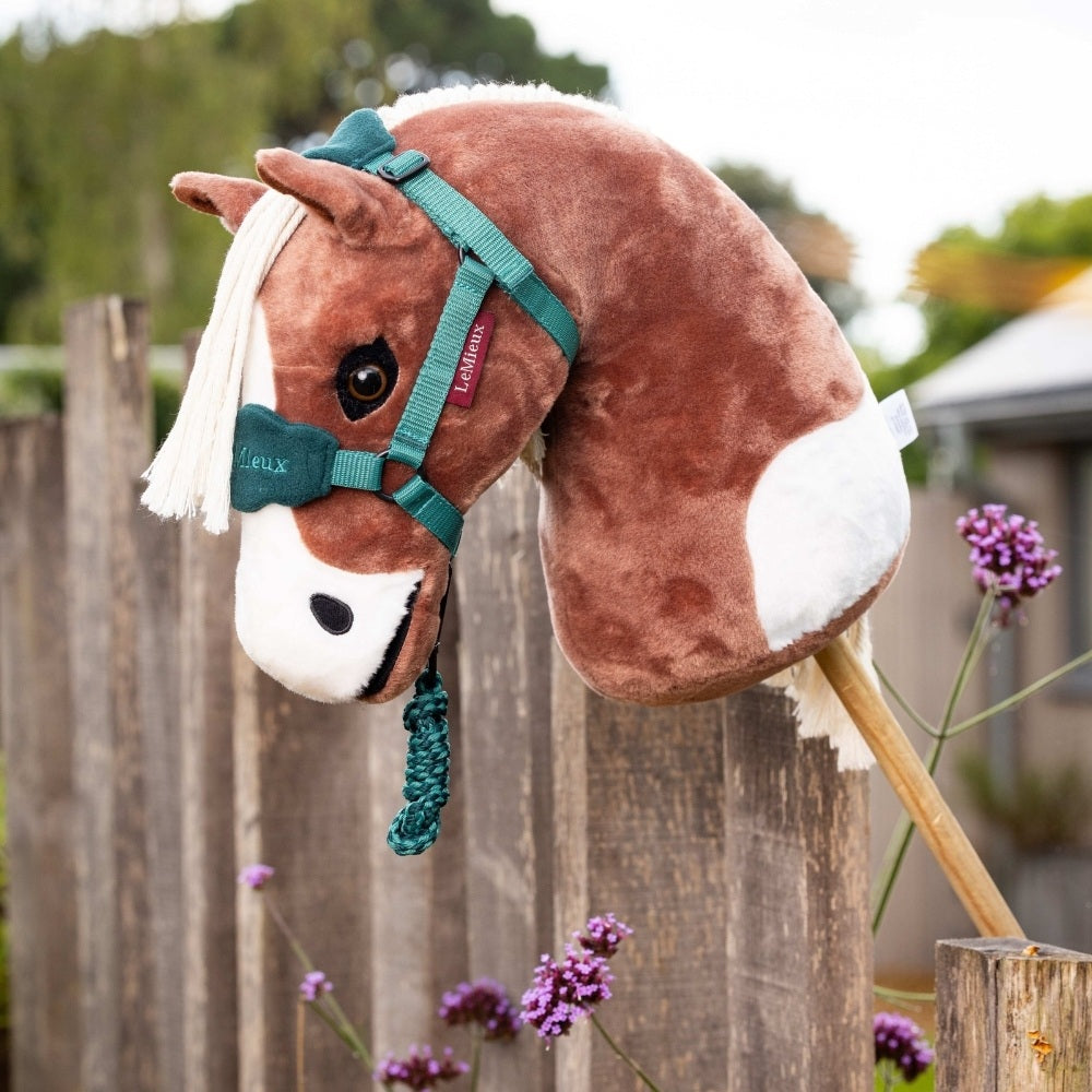 Le Mieux Kæphest Flash Hobby Horse