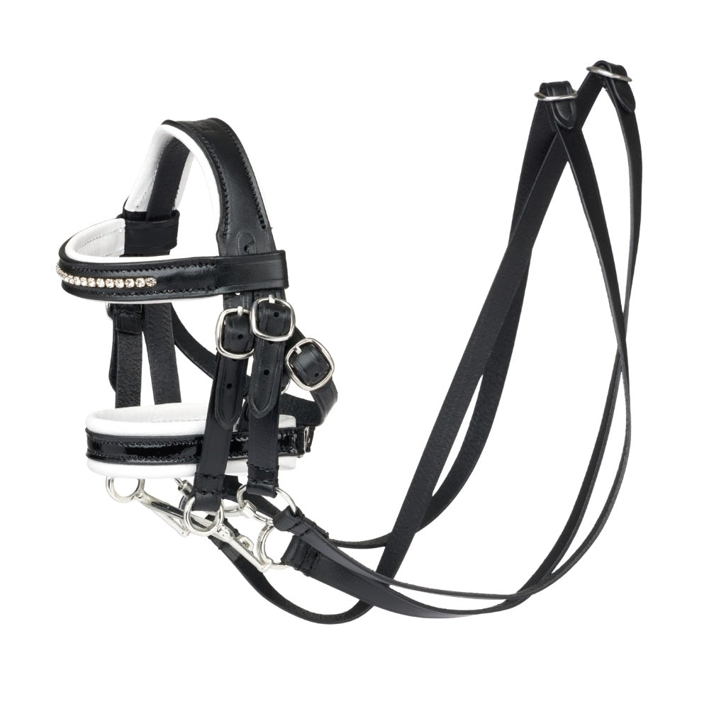 Le Mieux Mini Pony Dressur Trense