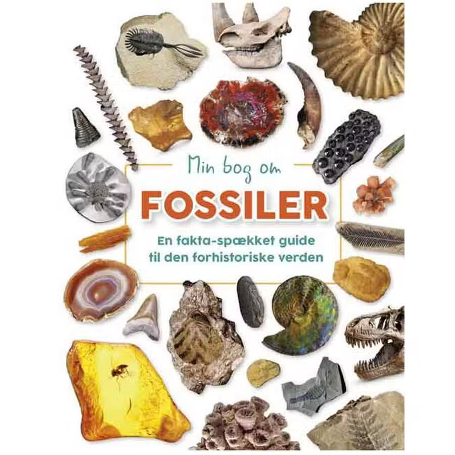 Min Bog Om Fossiler