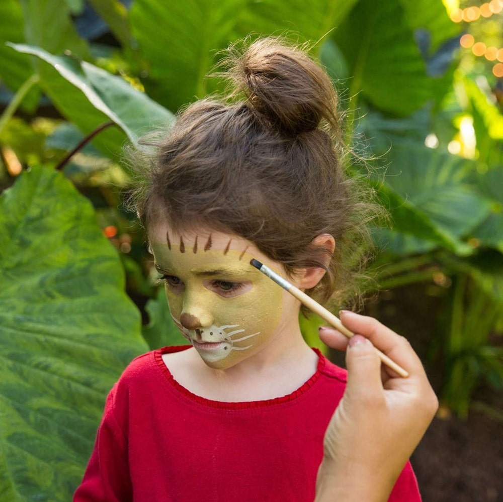 Namaki Ansigtsmaling Safari