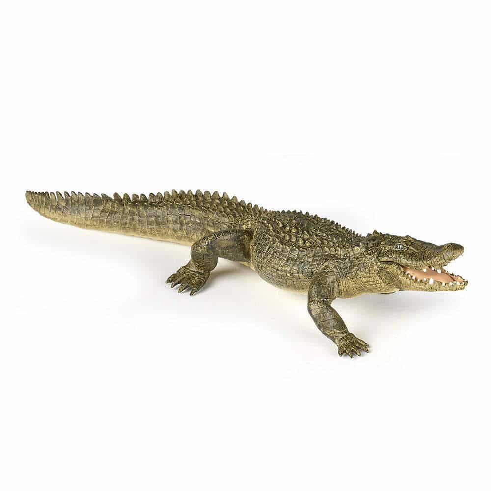 Papo Alligator