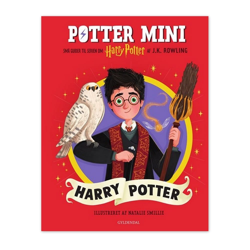 Potter Mini Harry Potter
