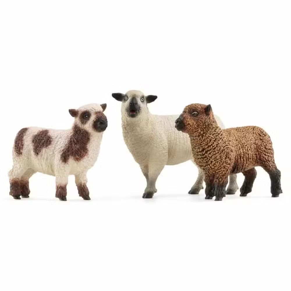 Schleich Dyr Får 3 Pak