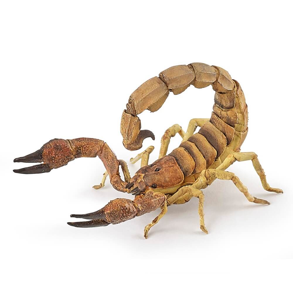 Papo skorpion