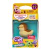 Little Live Pets Needes And