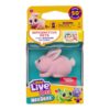 Little Live Pets Needes Kanin