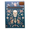 Forlaget Mammut Anatomicum