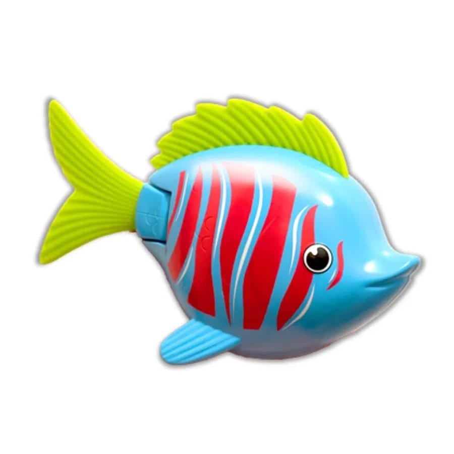 Rainbow Reef Fish Betafisk