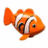 Rainbow Reef Fish Klovnefisk
