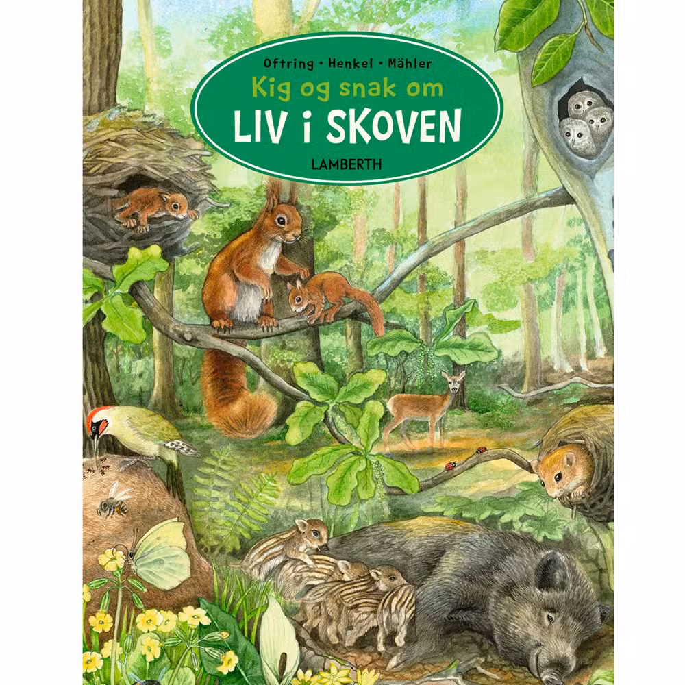 Kig Og Snak Om Liv I Skoven