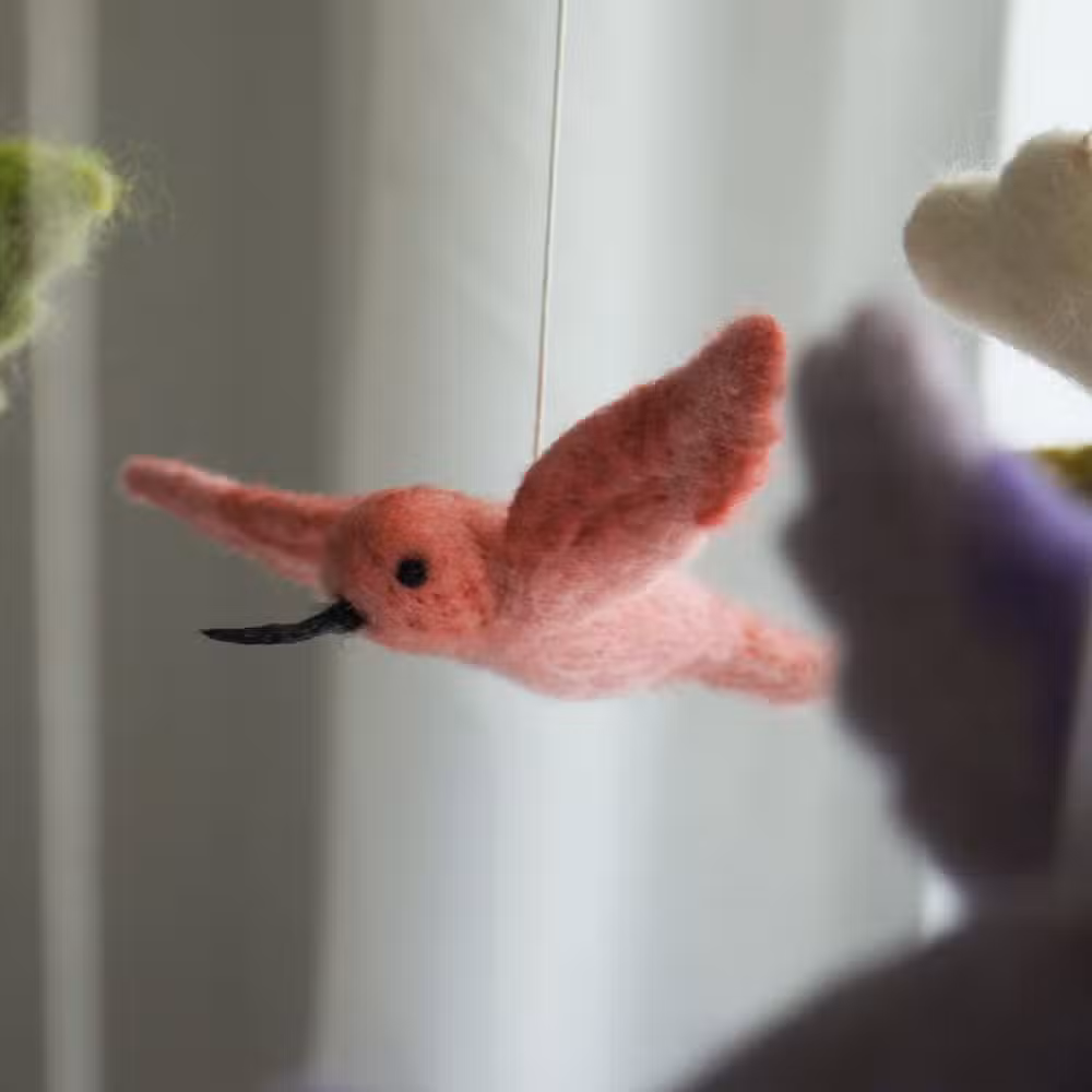 Gamcha Uro Kolibri