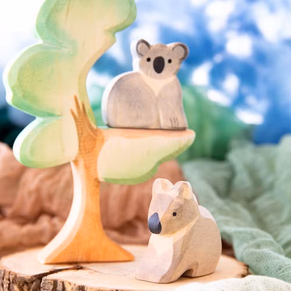 Alternative view of Ostheimer Koala