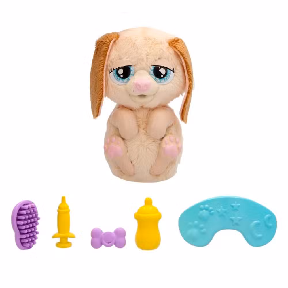 Baby Paws Just Born Hund